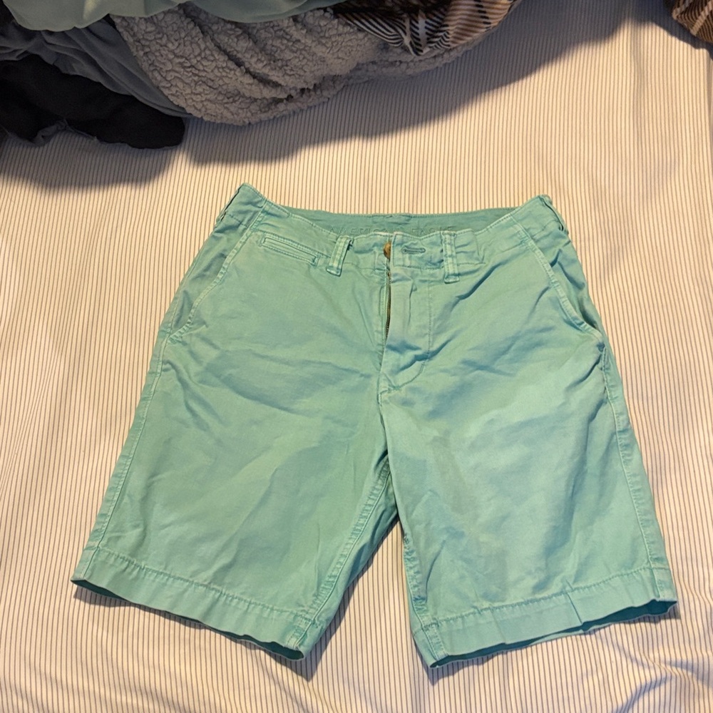 American Eagle Outfitters Light Blue Flat Front Shorts